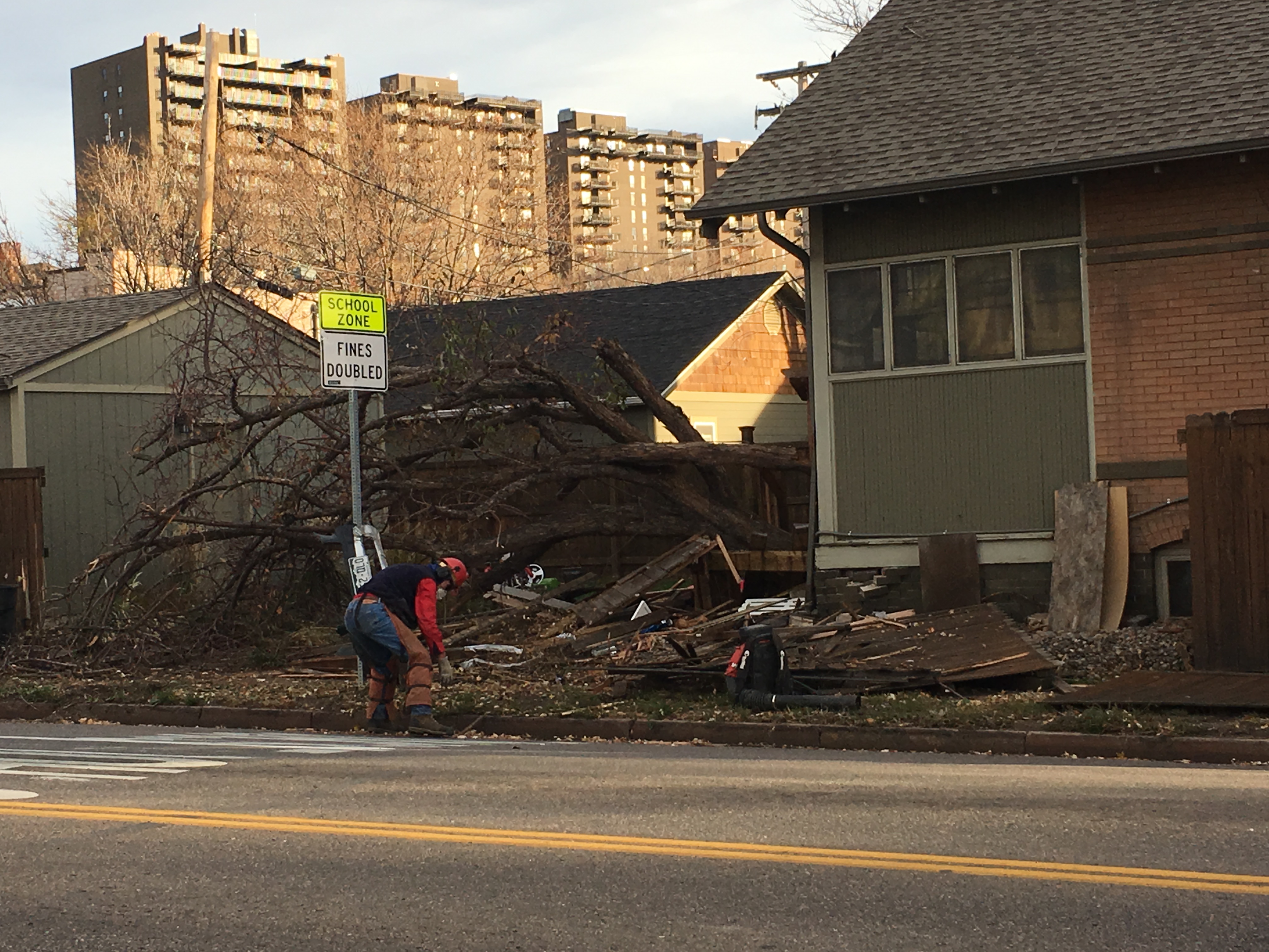 Tree and fence debris from crash